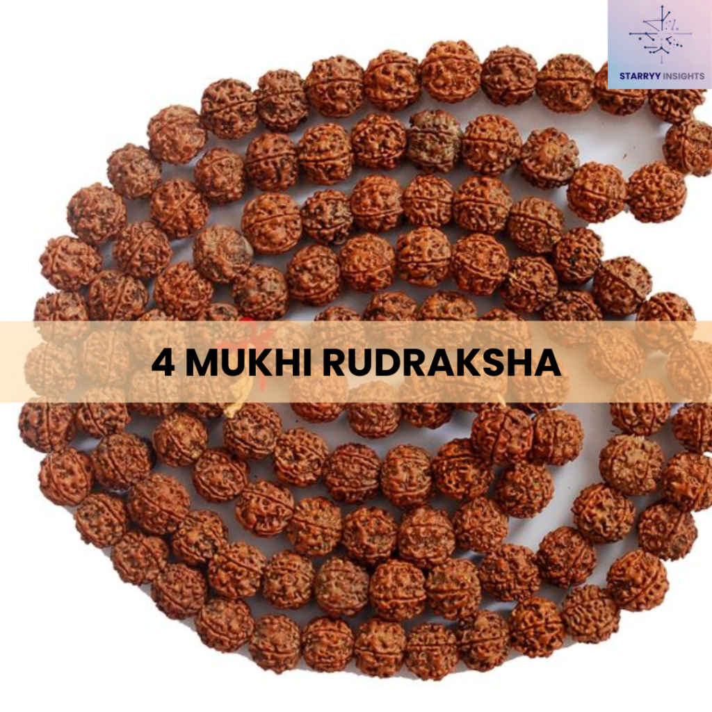 4 Mukhi Rudraksha